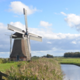 Molen Meervogel