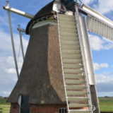 Molen Meervogel