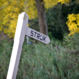 Strijkpaal bij de brug Bovendijks