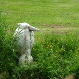 Reiger Borgterrein