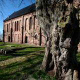 Hervormde kerk