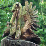 Pelikanennest
